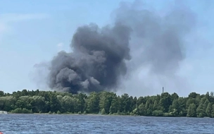 Под Сестрорецком загорелся частный дом