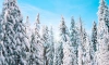 В Ленобласти 10 февраля пройдёт небольшой снег