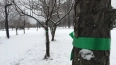 Активисты обвязали деревья в парке Сахарова зелеными ...
