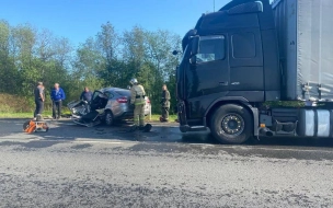 Полицейские проводят проверку после смертельного ДТП на трассе "Нарва"