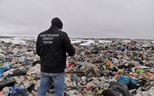 В Ленобласти возбуждено уголовное дело по факту найденного на полигоне тела младенца