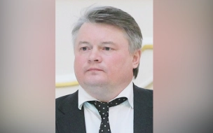 Бывший вице-губернатор Петербурга Батанов стал индивидуальным предпринимателем