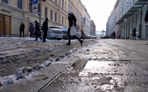 В Петербурге за вчерашний день снежный покров увеличился на 2-4 см