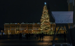 Стало известно, когда привезут новогоднюю ёлку в Петербург