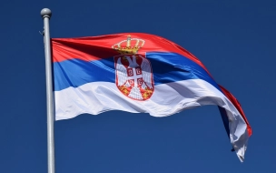 Политолог Гуреев заявил о попытках задавить Сербию экономически