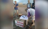 Жители Васильевского острова собирают подписи против северного намыва
