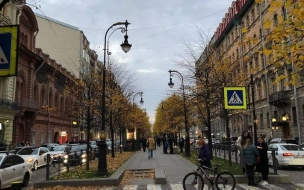 Дожди и похолодание взяли паузу в Петербурге 14 октября