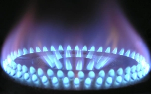 Цена газа в Европе поднялась выше 730 долларов за тысячу кубометров