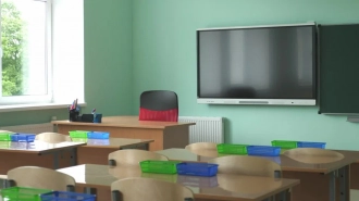 После сообщений о "минировании" некоторые школы в Петербурге частично перевели учеников на дистанционку