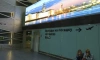 Прокуратура открыла в Пулково мобильную приемную после долгой задержки рейса в Дубай