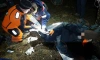С острова Бегемот спасатели эвакуировали мужчину со сломанной ногой