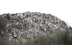 В Ленобласти прокуратура проверит многодневный пожар на мусорном полигоне