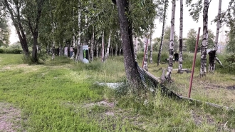 Бастрыкину доложат о проверке нарушений при благоустройстве Муринского парка