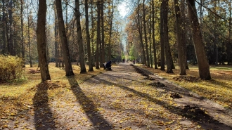 Последнее воскресенье сентября стало самым холодным днем в Петербурге за последние месяцы