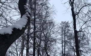 МЧС предупреждает: 19 февраля в Петербурге ожидается понижение температуры
