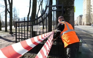 Петербургские сады и парки закрываются на просушку до мая