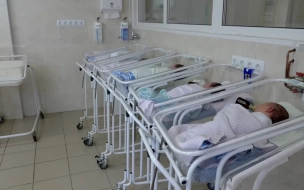 Расширенный скрининг новорожденных будут бесплатно делать в Медико-генетическом центре Петербурга