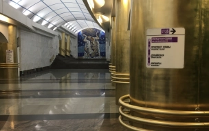 Мигранта отправили в колонию за избиение сотрудницы полиции в метро Петербурга
