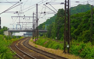 Петербургский железнодорожный оператор увеличил парк полувагонов