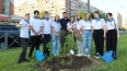 Петербургские активисты высадили более 2 тыс. деревьев ...