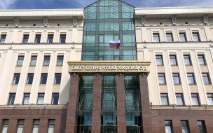 Петербуржцу, который пытался оспорить свою мобилизацию в суде, дали отсрочку