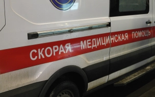 Пожилая пассажирка Kia Rio погибла в ДТП в Петродворцовом районе