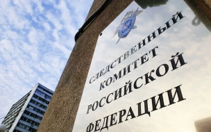 Глава СК РФ взял дело изнасилованной юной петербурженки под личный контроль