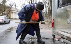 Количество нарушений в сфере благоустройства в Петербурге снизились на 40%