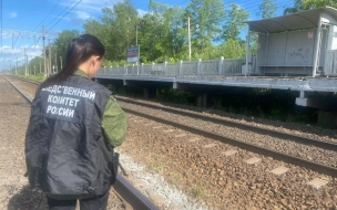 Два человека пострадали на железной дороге в Петербурге