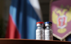 Житель Германии прилетел в Россию с семьей ради вакцинации "Спутником V"