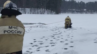 В поселке Будогощь спасли провалившегося под лед мужчину