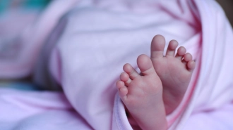 54 двойни родилось в Ленобласти с начала 2024 года 
