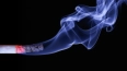 В РФ с 1 января вступят в силу новые правила для курильщ...