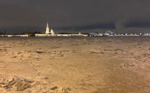 Специалисты ищут провалившегося под лед в районе Володарского моста петербуржца 