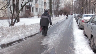 Петербургские пенсионеры требуют отставки Беглова из-за плохой уборки города