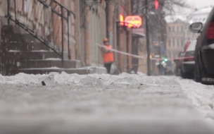 Петербургские коммунальщики экстренно ищут верхолазов для борьбы со снегом