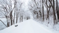 В первый день зимы в Ленобласти будет снежно и облачно