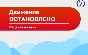 На красной ветке петербургского метро утром на пути упал пассажир