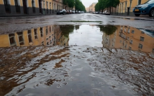 МЧС: 23 августа в Петербурге ожидаются ливни и град