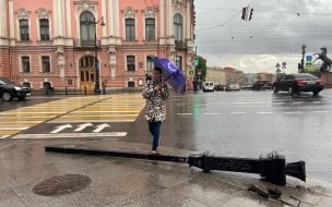 Петербургские сады и скверы закрыли из-за шквального ветра