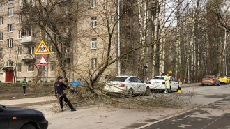 МЧС: в Петербурге 23 апреля ожидаются порывы ветра до 15 м/с