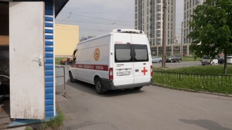 На Пулковском шоссе 5-летнему мальчику прищемило руку дверью и ампутировало палец