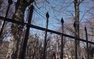 Тело бывшего судьи обнаружили сожженным на кладбище под Томском