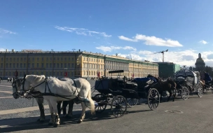 В Петербурге запретили въезд карет на Дворцовую площадь