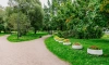 Сады, парки и скверы вновь открыты для петербуржцев