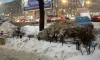 Петербуржцы делятся фотографиями заваленных льдом и снегом газонов