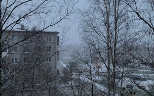 В Петербурге объявили "желтый" уровень опасности из-за погодных условий в пятницу