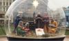 Рождественский вертеп у Казанского собора рассчитан на петербургскую погоду