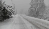 В Ленобласти 31 декабря выпадет мокрый снег и пройдет дождь