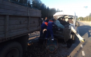 За выходные в ДТП в Ленобласти погибли четыре человека